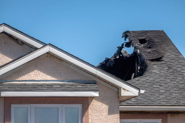 Top rated local Odor Removal specialists in Springfield, OH
